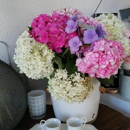 Bed & Breakfast D'hote Margot'te